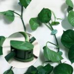 BUFFER®10 lu Yaprak Tasarımlı  Kablo Bitki Sarmaşık Düzenleyici Yapışkanlı Klipsler - Görsel 4