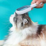 BUFFER® Evcil Hayvanlar İçin Çift Taraflı Pet Fırçası Nemli Tüy Tarama Tarağı - Görsel 3