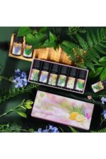 6'lı Ekonomi karışık SET Esansiyel Uçucu Yağı Buhardanlık Difüzör Esansı Oda Kokusu