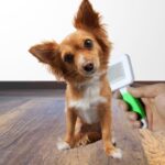 BUFFER® Kedi Köpek Telli Küçük Boy Tüy Bakım Seti Evcil Hayvan Tarama Fırçası - Görsel 5