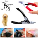 BUFFER® Evcil Hayvanlarınız İçin Tırnak Makası - Görsel 3