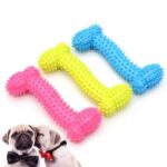 BUFFER® Tiny Kemik Oyuncağı Tırtıklı Yüzey Küçük Kemik Plastik Köpek Oyuncağı - Görsel 4