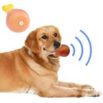 Buffer Köpekler İçin Oyuncak Tavuk Budu - Görsel 3