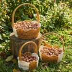 BUFFER® İç İçe Geçebilen 3’lü Çift Renkli Yuvarlak Dalgalı Formlu Saplı Plastik Rattan Sepet Seti – Hasır Görünümlü Çok Amaçlı Organizerler - Görsel 2