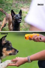 BUFFER® Ultrasonik Köpeksavar Köpek Kovucu Köpek Kornası Eğitim Cihazı - Görsel 8