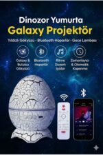 Bluetooth Hoparlörlü RGB Gece Lambası – Dinazor yumurtası Işıklı