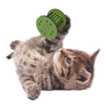 BUFFER®  Mini Silindir Eğlenceli Renkli Sağlam Küçük Pati İzi Şekilli Kedi Oyuncağı - Görsel 4