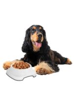BUFFER® Silikon Kaydırmaz Taban Plastik Kedi ve Köpek Mama ve Su Kabı 2 L - Görsel 6