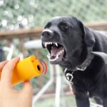 BUFFER® Ultrasonik Köpeksavar Köpek Kovucu Köpek Kornası Eğitim Cihazı - Görsel 2