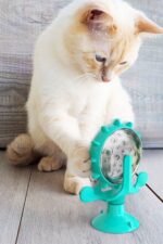 Buffer® Vantuzlu Zilli İnteraktif Dönebilen Mama Kaplı Renkli Eğlenceli Eğitici Kedi Oyuncağı - Görsel 8