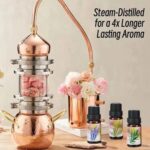 Uçucu Yağ Saf 3 LÜ Set Karışık Başlangıç Paketi Aroma Terapi