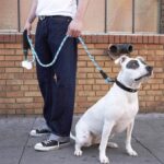 BUFFER® Reflektörlü Fosforlu Köpek Gezdirme Halatı Tasma Kayışı Metal Kancalı 130 cm - Görsel 5