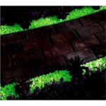 BUFFER® Gece Karanlıkta Işık Vererek Parlayan Dekoratif Fosforlu Çakıl Taşları - Görsel 6