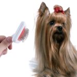 BUFFER® Paslanmaz Evcil Hayvan Kedi Köpek Tüy Tarama Toplama Fırçası Kolay Temizlenir Bakım Aleti - Görsel 2