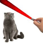BUFFER®  3 Fonksiyonlu Kırmızı Beyaz Işıklı Led Lazer Kedi Köpek Oyuncak Anahtarlık - Görsel 3