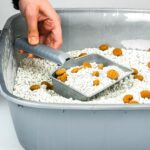 BUFFER® Plastik Evcil Hayvan Kedi Kumu Temizleme Eleme Küreği - Görsel 3