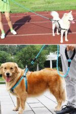 BUFFER® Reflektörlü Fosforlu Köpek Gezdirme Halatı Tasma Kayışı Metal Kancalı 130 cm - Görsel 7