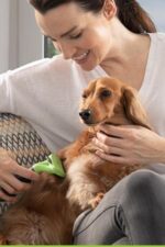 Buffer Kedi ve Köpekler İçin Uzun Tüylü Köpek Tarağı Tüy Toplayıcı tarak Small - Görsel 7