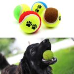 BUFFER®  3lü Renkli Desenli Tenis Topu Kedi Köpek Oyuncağı - Görsel 3
