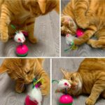 BUFFER® Kedi Oyun Topu Tüylü Fareli Hacı Yatmaz Eğitici Yavru Kedi Fare Kovalama Oyuncağı - Görsel 3