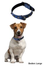 BUFFER® Yumuşak Dokulu Deri Köpek Gezdirme Boyun Tasması (Large) - Görsel 3