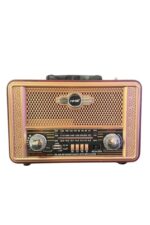 Taşınabilir Otantik Tasarımlı FM/AM Destekli Radyo NS8098