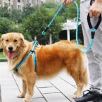 BUFFER® Reflektörlü Fosforlu Köpek Gezdirme Halatı Tasma Kayışı Metal Kancalı 130 cm - Görsel 2