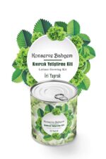 BUFFER® Konserve Bahçem Evde Konservede İri Yapraklı Kıvırcık Yetiştirme Kiti - Görsel 2