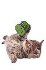 BUFFER®  Mini Silindir Eğlenceli Renkli Sağlam Küçük Pati İzi Şekilli Kedi Oyuncağı - Görsel 8