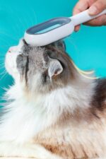 BUFFER® Evcil Hayvanlar İçin Çift Taraflı Pet Fırçası Nemli Tüy Tarama Tarağı - Görsel 8