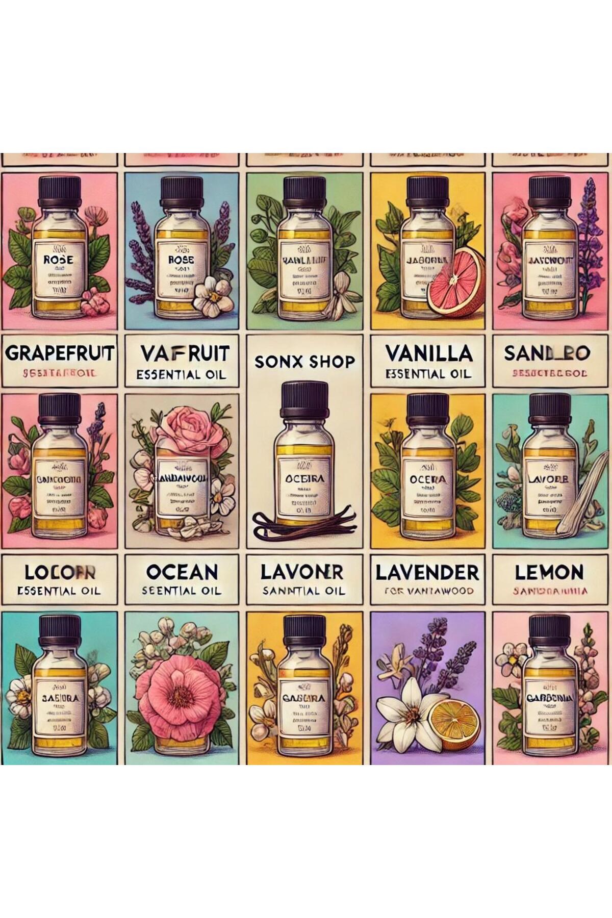 Favori 10'lu Set Esansiyel Uçucu Yağ Buhurdanlık Hava Nemlendirici Aroma Difüzörü Kokusu Esans Favori 10'lu Set Esansiyel Uçucu Yağ Buhurdanlık Hava Nemlendirici Aroma Difüzörü Kokusu Esans