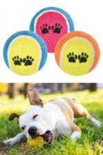 BUFFER®  3lü Renkli Desenli Tenis Topu Kedi Köpek Oyuncağı - Görsel 8