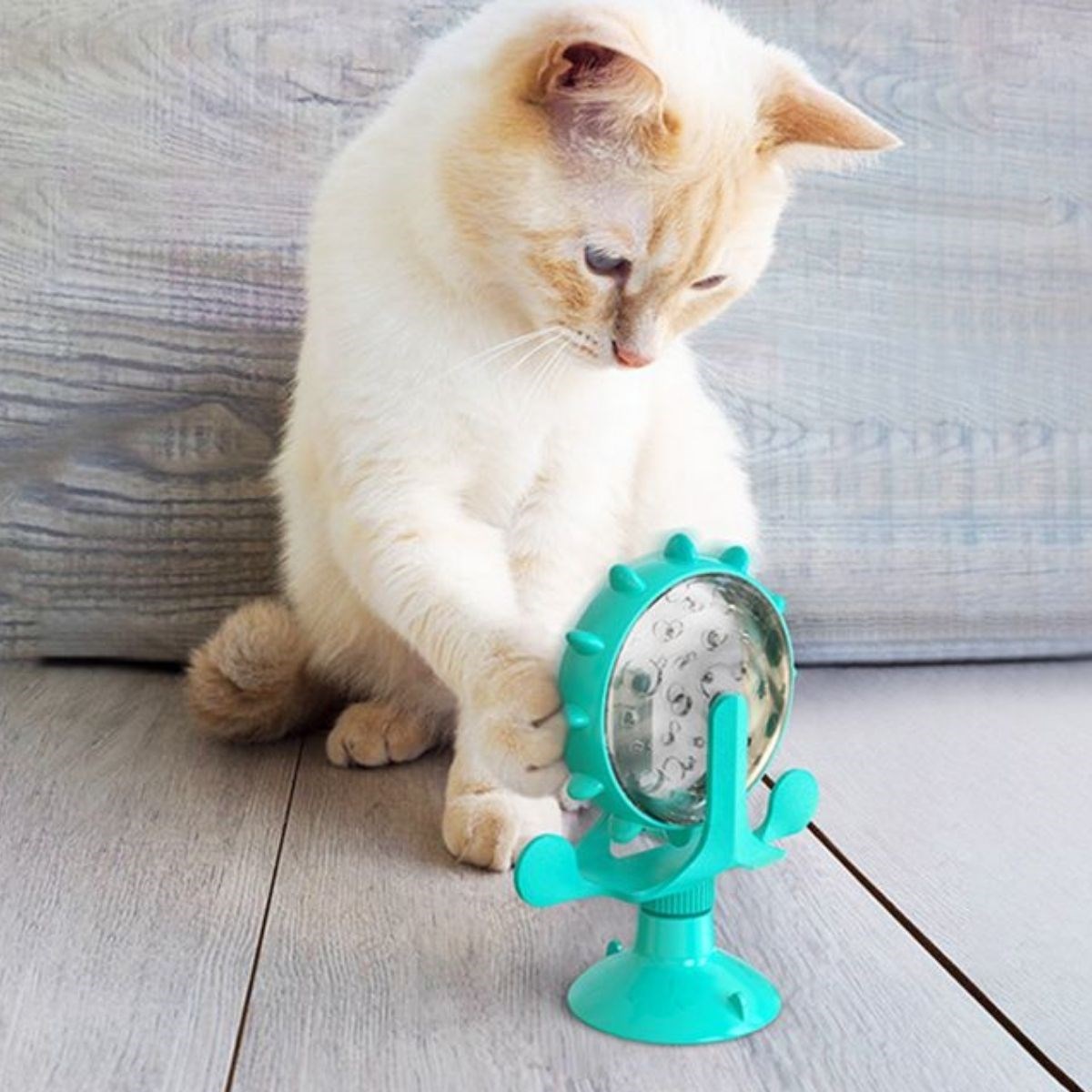 Buffer® Vantuzlu Zilli İnteraktif Dönebilen Mama Kaplı Renkli Eğlenceli Eğitici Kedi Oyuncağı Buffer® Vantuzlu Zilli İnteraktif Dönebilen Mama Kaplı Renkli Eğlenceli Eğitici Kedi Oyuncağı