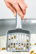 BUFFER® Plastik Evcil Hayvan Kedi Kumu Temizleme Eleme Küreği - Görsel 5
