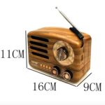 Taşınabilir Büyük Döndürülebilen Düğmeli FM/AM Destekli Radyo NS3380