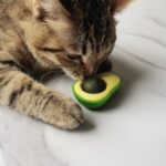 BUFFER® Avokado Model Yapışkanlı Kedi Oyuncağı Yenilebilir Kedi Nanesi Otu - Görsel 2